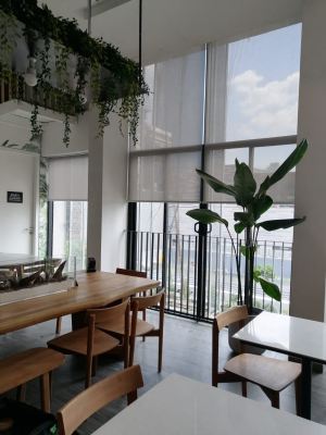 Supply & Install Roller Blinds @LLOYD's Inn
