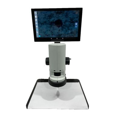 LCD Micrometer