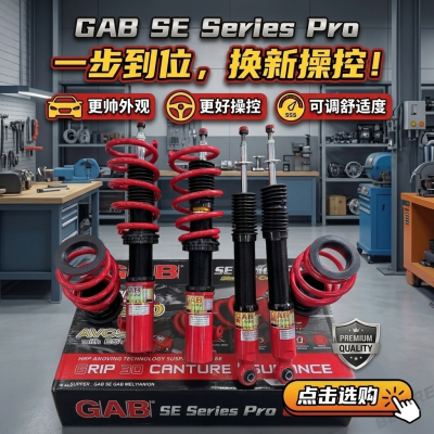  Toyota Vios ����GAB SE Pro Series 32����Ӳ�ɵ� + �ߵͿɵ����