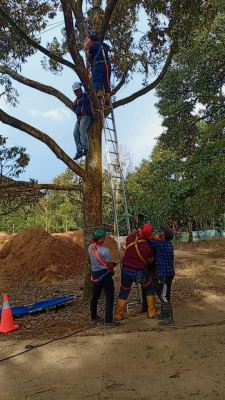 ERT, Rescue First Aid for Plantation