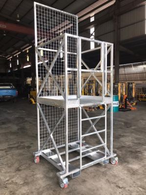 Customized Galvanized Forklift Cage with Ladder