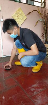 Termite Monitoring System - Cyberjaya