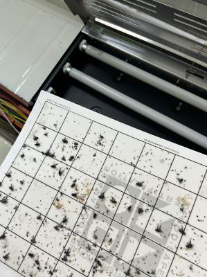 Flies Treatment - Lalat Mesin - Flies Machine - Poultry Processing Factory