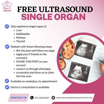 FREE ultrasound single organ 
