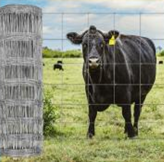 Cattle Mesh