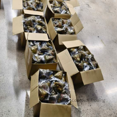 Traditional Rice Dumpling (Zongzi) Wholesale