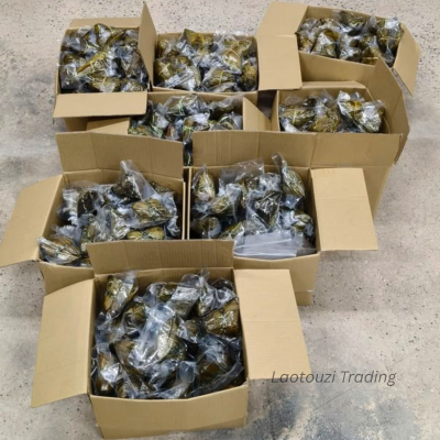 Traditional Rice Dumpling (Zongzi) Wholesale