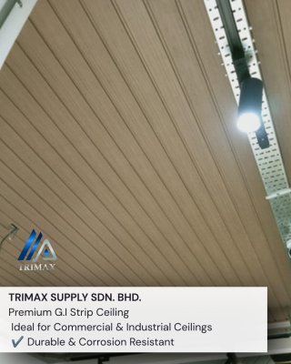G.I Strip Ceiling