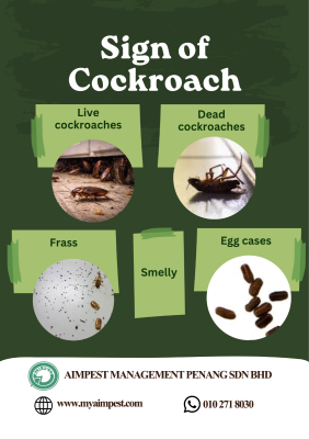 �� Signs of Cockroach Infestation You Shouldn't Ignore! ��