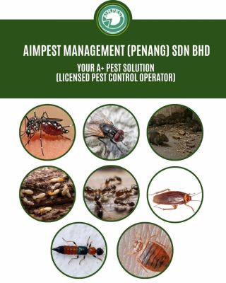  Jangan biarkan serangga perosak menguasai premis anda!