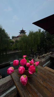 8D6N SHANDONG TOUR (23-30JUN2026)