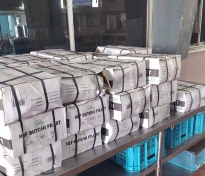 TMG - MALAYSIA INSTITUTIONS SUPPLIER