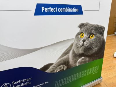 Print Roll Up Banner for Retail Display at PJ, Selangor | Event Display | Product Promotion Banner | Portable Display Stand | Shop Branding Solution 