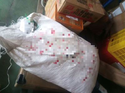 Uncategorised
