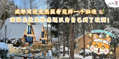 No need to fly all the way to Norway, You can now stay in a fairytale forest cabin right here in Chengdu! 