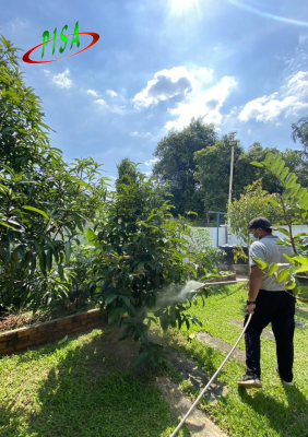 GARDEN TREATMENT