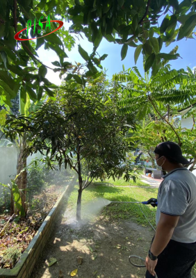 GARDEN TREATMENT