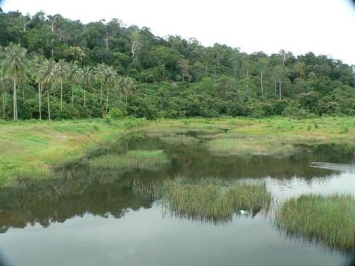 Wetland creation as part of drainage at Pantai Kok, Langkawi