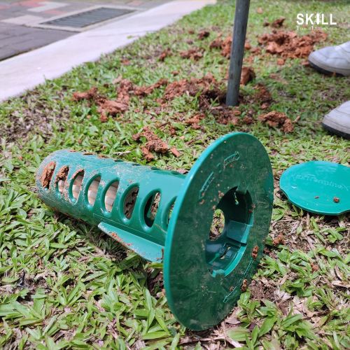 In-Ground Bait Station at Sierra 3, Puchong South