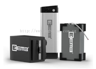 Mobicon-Remote Electronic Pte Ltd:EEMB E Mobility Battery Module