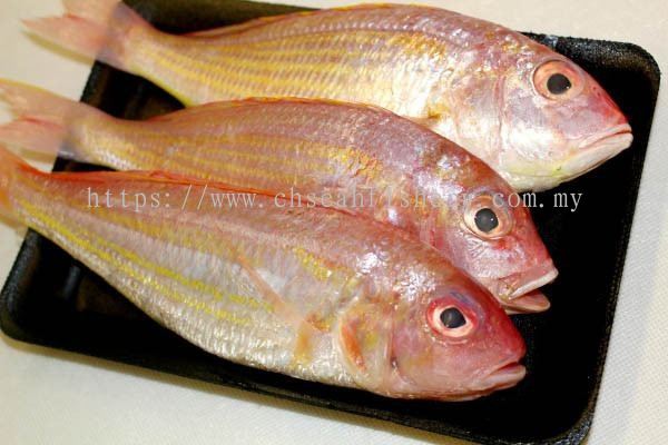 Selangor Kuala Lumpur Kl Seri Kembangan Ikan Kerisi Ikan Sejuk Beku Versi Malay From C H Seah Fishery