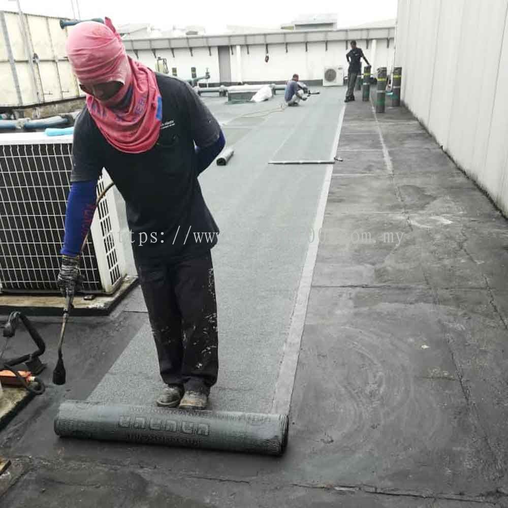 https://cdn2.npcdn.net/images/product/1200x1200-1-0/827827-product6164474.jpeg