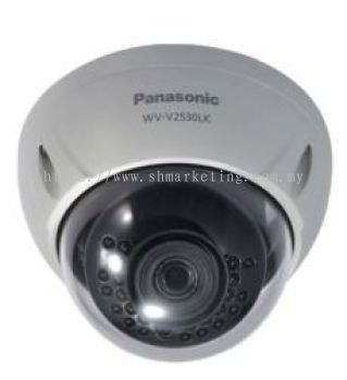 Network Camera