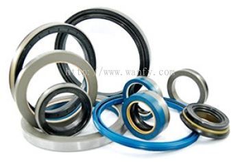 Oil Seals 