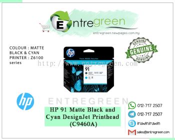 HP 91 -  MATTE BLACK AND CYAN (C9460A)