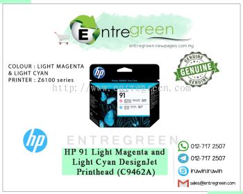 HP 91 -  LIGHT MAGENTA AND LIGHT CYAN (C9462A)