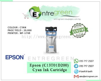 T01D2 - CYAN (C13T01D200)