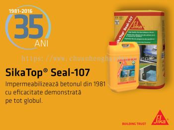 sika 107 top seal 