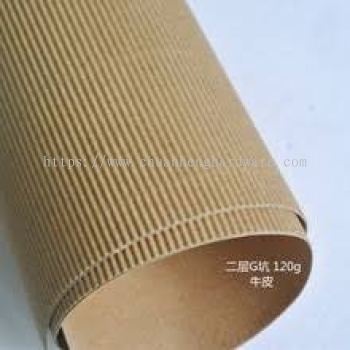 paper coil / paper  roll