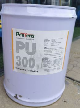 pu 300 pentens 