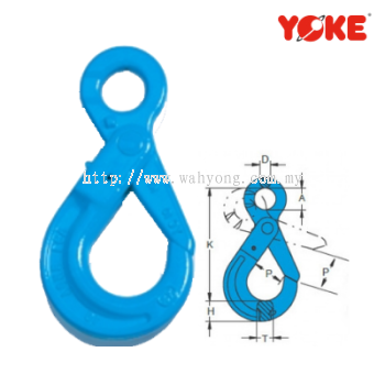 G100 Eye Self Locking Hook