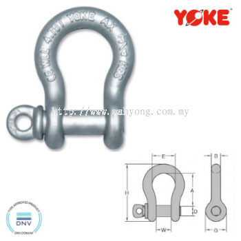 Bow Shackle With Screw Pin YOKE 8-837 (G-209BW)