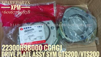 DRIVE PLATE ASSY/AUTO CLUTCH SHOE ASSY SYM GTS200/VTS200 22300H9B000 LAGEL