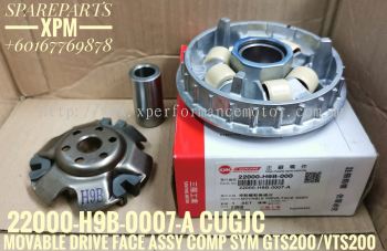 MOVABLE DRIVE FACE ASSY COMPLETE /PULLEY KIT SET COMPLETE SYM GTS200/VTS200 LAHEL