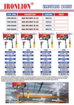 Electric Hoist