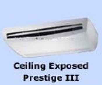 Ceiling Exposed Prestige III