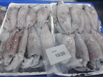 Frozen Squid /Sotong 10/20- Skin On (2kg/pkt)