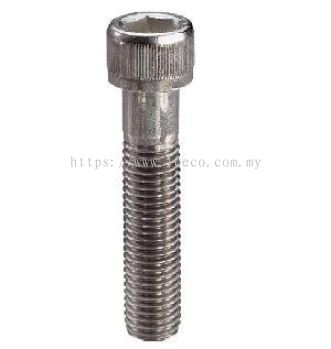 Standard Stainless Allen Cap Screw