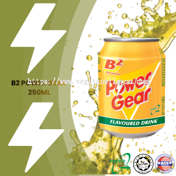 B2 Power Gear Energy Drink 250ml