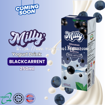 Milly Yogurt Drink Blackcarrent Flavour 250ml