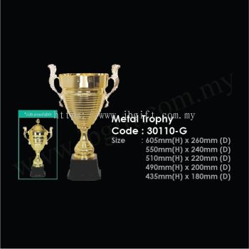 Metal Trophy 30110-G