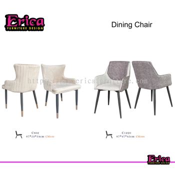 Dining Chair (C802/C1220)
