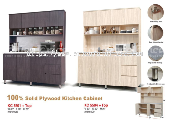 5501+Top 5ft Solid Plywood Kitchen Cabinet