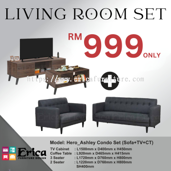 Living Room Set - Ashley Condo Set