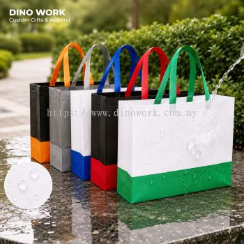 Laminated 2-Tone Non Woven Bag (Ultrasonic)