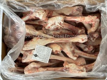 AUSTRALIA MUTTON LEG BONE